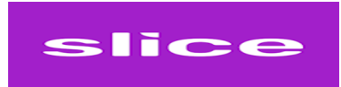 Slice Logo